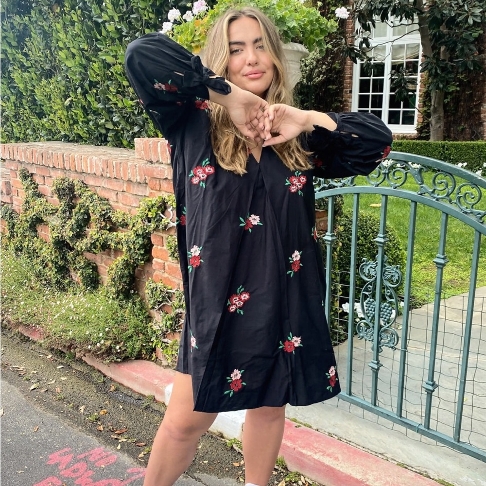 Pretty little embroidered dress